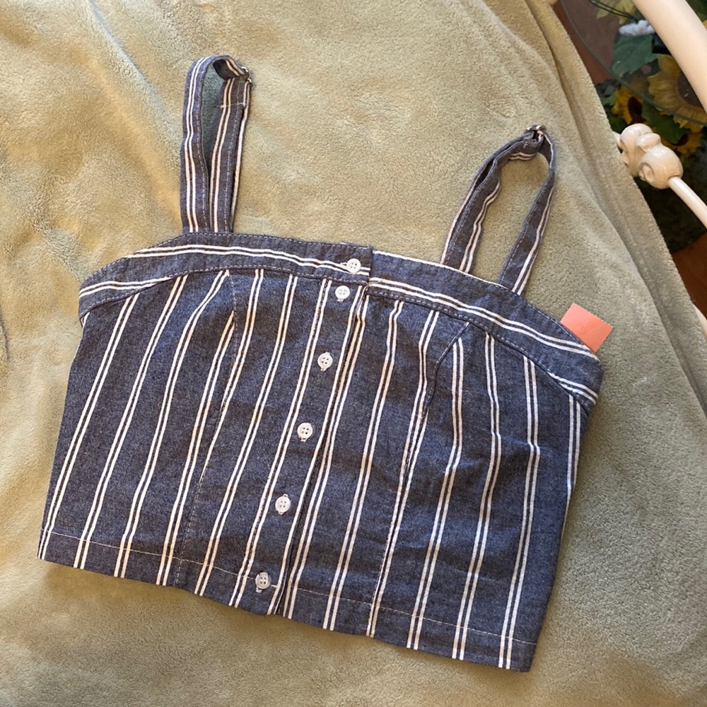 Brandy Melville “Astrid” Cropped Top